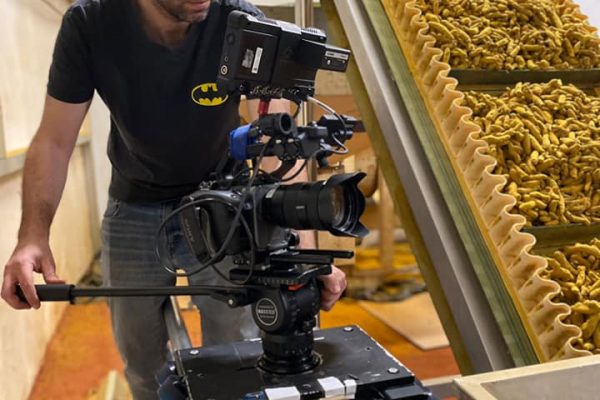 274877796_10159574153245937_5196247210792278310_n